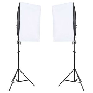 vidaXL Profesjonalne lampy studyjne, 2 szt., 40x60 cm