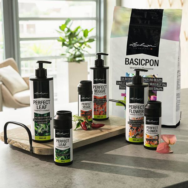 LECHUZA Podłoże dla roślin doniczkowych BASICPON, 6 L