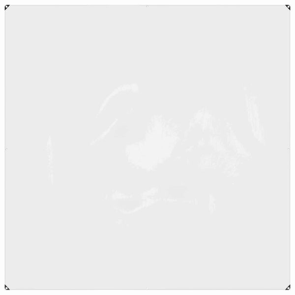 vidaXL Plandeka z oczkami przezroczysty 2 x 2 m Polietylen