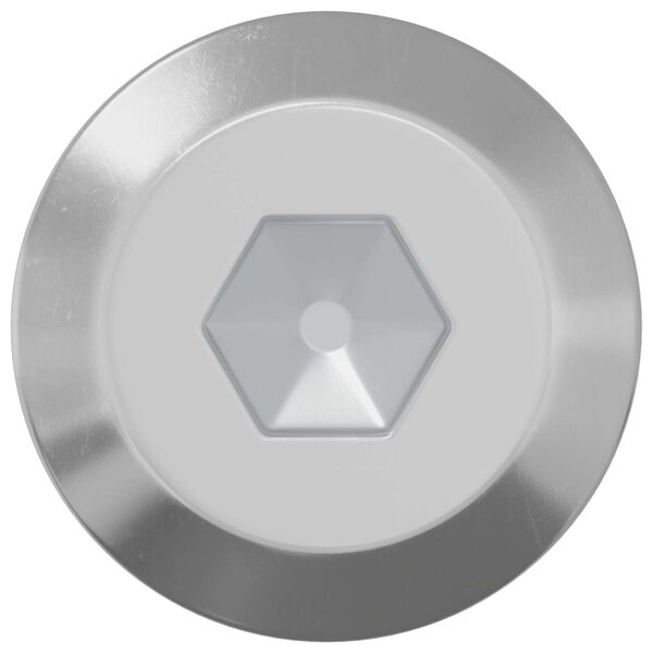 vidaXL Śruba 12 pcs Srebrny M6 x 60 mm Stal