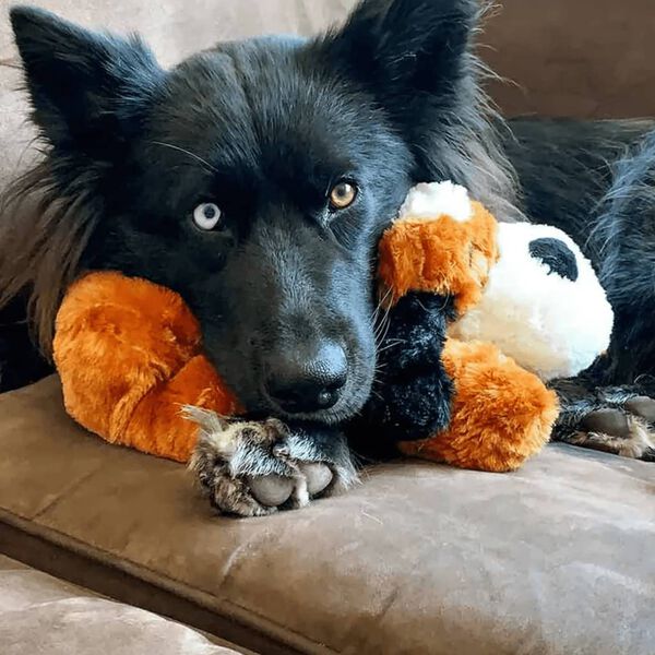 Snuggle Puppy Pluszowy pies dla psa, z biciem serca, brązowo-biały