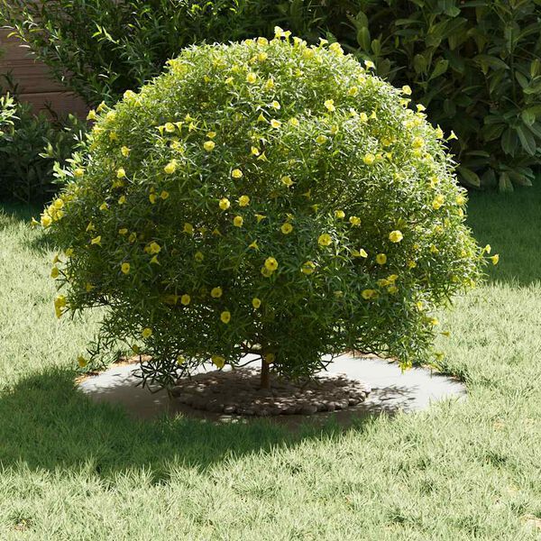 vidaXL odpowiedni dla płaskiego pierścienia drzewa Biały &Oslash;30 / 60 cm