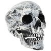 vidaXL Czaszka na halloween SPOOKA 2 szt. Biały 12 x 15 x 17.5 cm