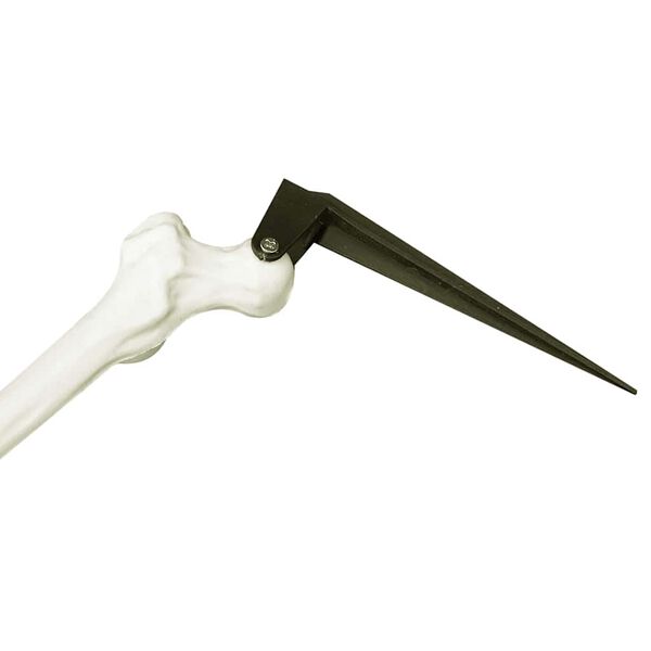 vidaXL Szkielet Halloween Biały 45,5 x 13 cm Z tworzywa sztucznego