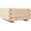 Natural_pine