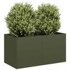 Olive_green
