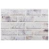 vidaXL Panele ścienne 3D, 10 szt., jasnoszare, 100x50 cm, EPS