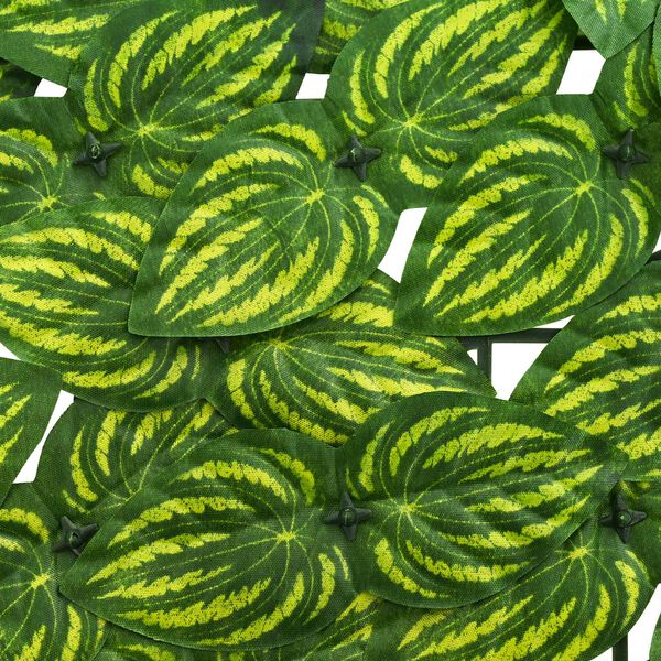 Wyświetlanie zdjęcia produktu 4 z 6