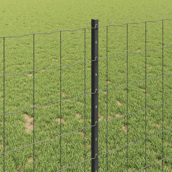 Wyświetlanie zdjęcia produktu 4 z 14
