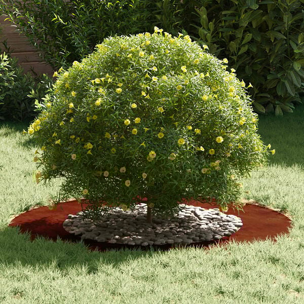 vidaXL odpowiedni dla płaskich pierścieni drzewa 5 pcs Brązowy