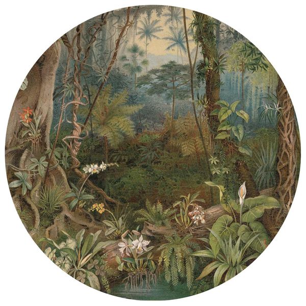 WallArt Okrągła fototapeta In the Jungle, 190 cm