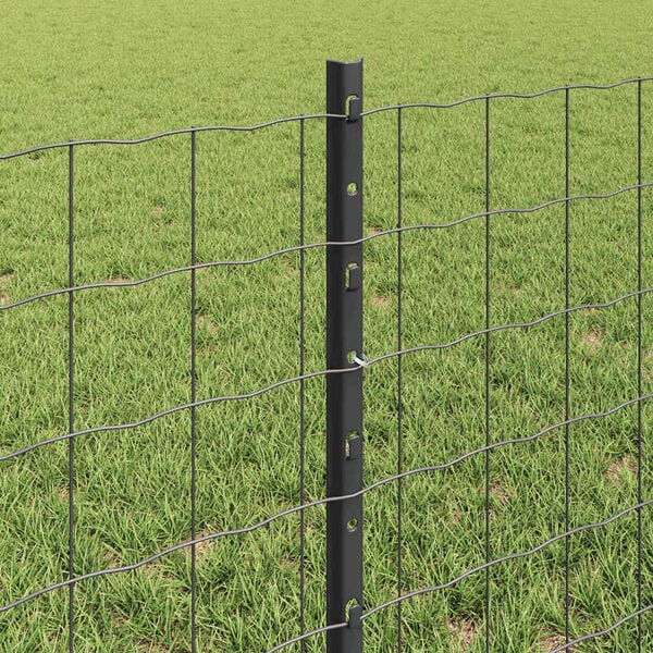 Wyświetlanie zdjęcia produktu 4 z 13