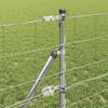 Miniatura produktu 4 z 17