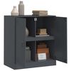 vidaXL Szafka boczna, antracytowa, 67x39x73 cm, stal