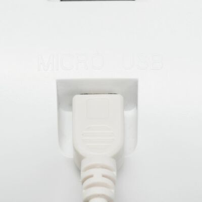 TRIXIE Automatyczny dozownik karmy TX5+1, biały