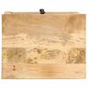 vidaXL Stolik nocny, 45x35x60 cm, lite drewno mango