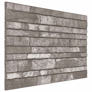 vidaXL Panele ścienne 10 szt. 100 x 50 cm ciemnoszary Pianka EPS