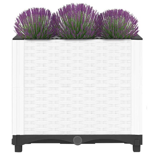 Wyświetlanie zdjęcia produktu 3 z 8