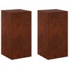 vidaXL Stojak na rośliny 2 pcs Rdzawy 30 x 30 x 60 cm Stal kortenowska