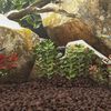 Miniatura produktu 2 z 5