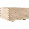 Natural_pine