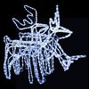 Cold_white