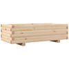 Natural_pine