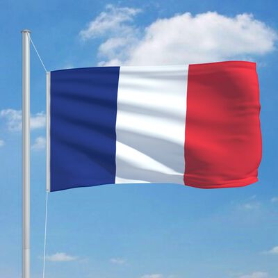 vidaXL Flaga Francji, 90x150 cm