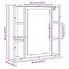 vidaXL Szafka łazienkowa z lustrem, dąb artisan, 60x16x60 cm