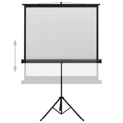 vidaXL Ekran projekcyjny ze stojakiem, 48'', 1:1