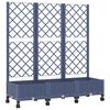 Blue_grey