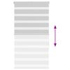vidaXL Roleta zebra, jasnoszara, szerokość tkaniny 75,9 cm, poliester