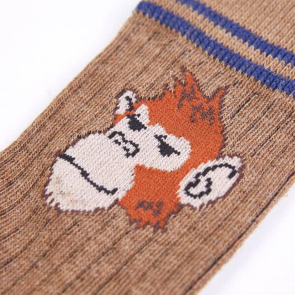 Skarpetki dziecięce, 5 par, 26-29