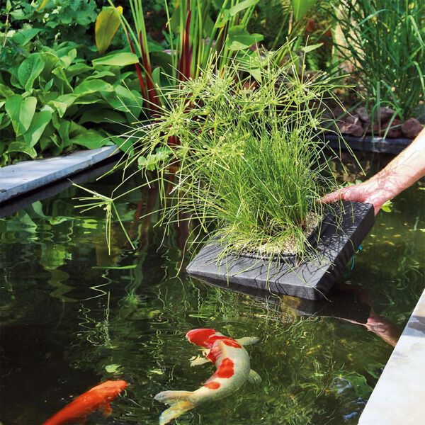 Velda Pływająca wyspa na roślinę, kwadratowa, 35x35x7 cm