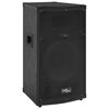 vidaXL Profesjonalny głośnik pasywny HiFi, 150 W, czarny, 37x37x64 cm
