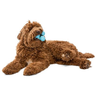 West Paw Zabawka dla psa Tux z Zogoflexu, niebieska, rozmiar S