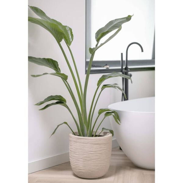 Capi Owalna donica Waste Rib, 35x34 cm, beżowa