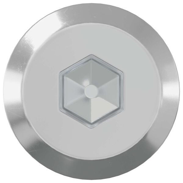 vidaXL Śruby meblowe 12 pcs Srebrny M6 x 70 mm Stal