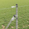 Miniatura produktu 4 z 15