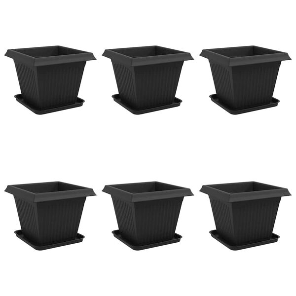 Wyświetlanie zdjęcia produktu 1 z 12