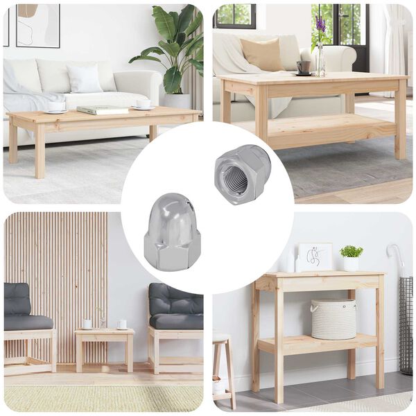 vidaXL Nakrętka 2 pcs Srebrny M6 x 10 mm Żelazo