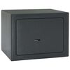 vidaXL Sejf Z blokadą ciemnoszary 23 x 17 x 17 cm Stal