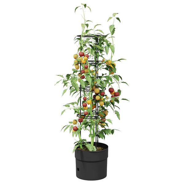 Wyświetlanie zdjęcia produktu 3 z 5