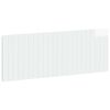 High_gloss_white
