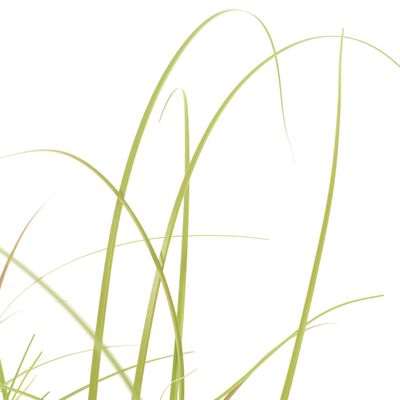 vidaXL Sztuczna trawa ozdobna, 95 cm
