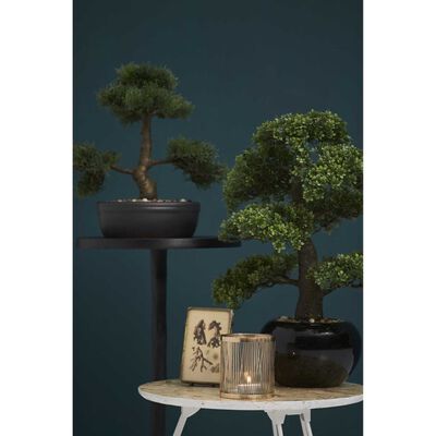 Emerald Sztuczny cedr bonsai, zielony, 32 cm, 420001