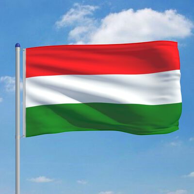 vidaXL Flaga Węgier z aluminiowym masztem, 6 m