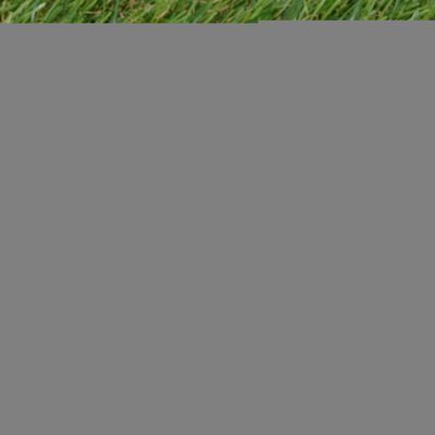 vidaXL Sztuczna trawa 1x15 m/20-25 mm, zielona