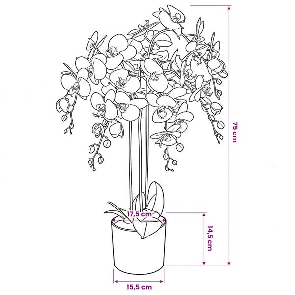 Wyświetlanie zdjęcia produktu 3 z 3