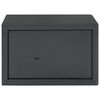 vidaXL Sejf Z blokadą ciemno szary 31 x 20 x 20 cm Stal